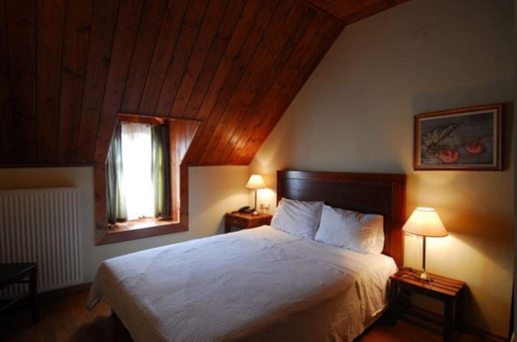 Hotel Papanastasiou Eláti 部屋 写真